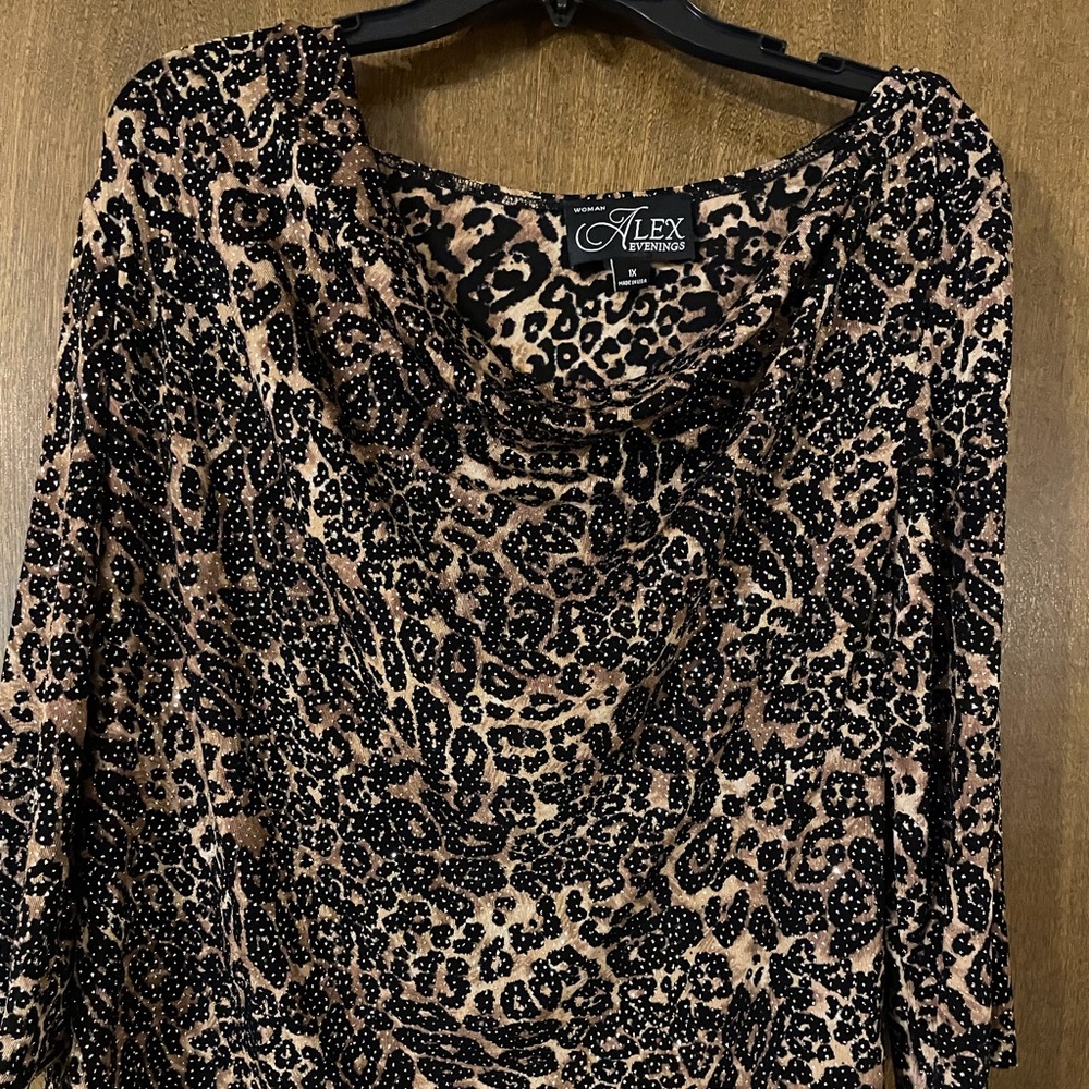 Alex Evenings plus size fancy glitter blouse.